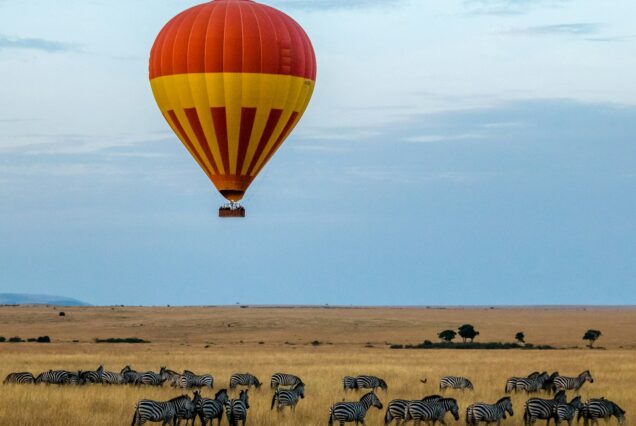red and yellow hot air balloon over field with zebras