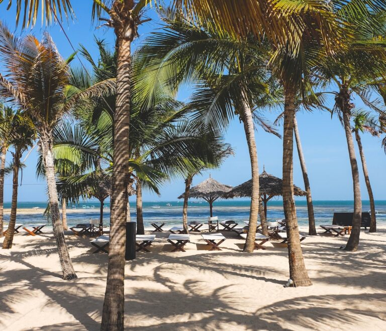 a sandy beach with palm trees and chairs