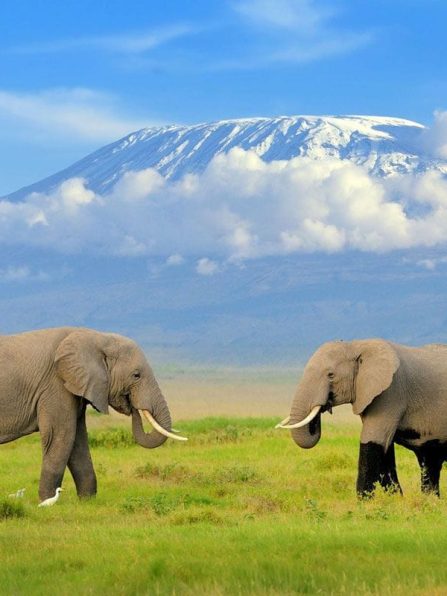 00da711c8f685ffd98af6aecb70c68fbf2a3b520-1600x800 (1)